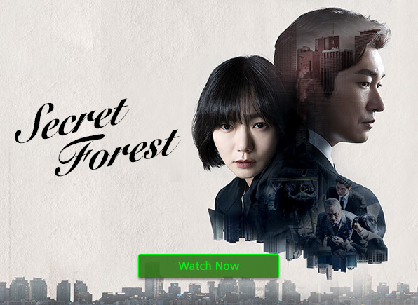 Secret Forest Korean Drama Online Free