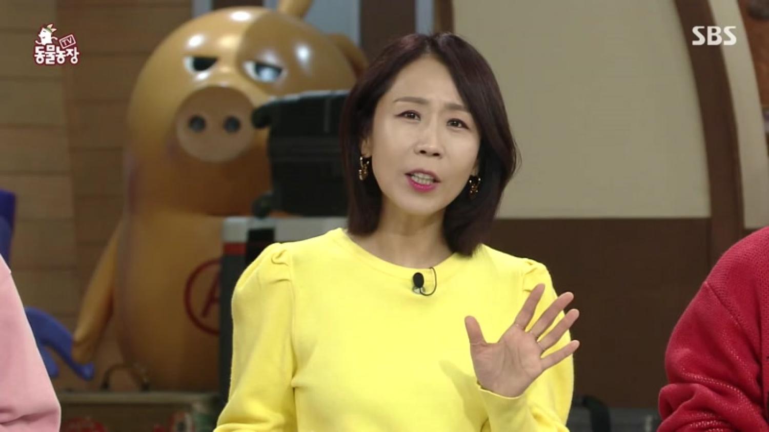 TV 동물농장 다시보기 | 온디맨드코리아 Tv 동물농장 다시보기 | 온디맨드코리아