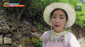 Law Of The Jungle Myanmar